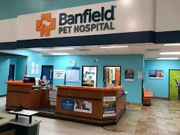 Our lighting help for Banfield Pet Hospital